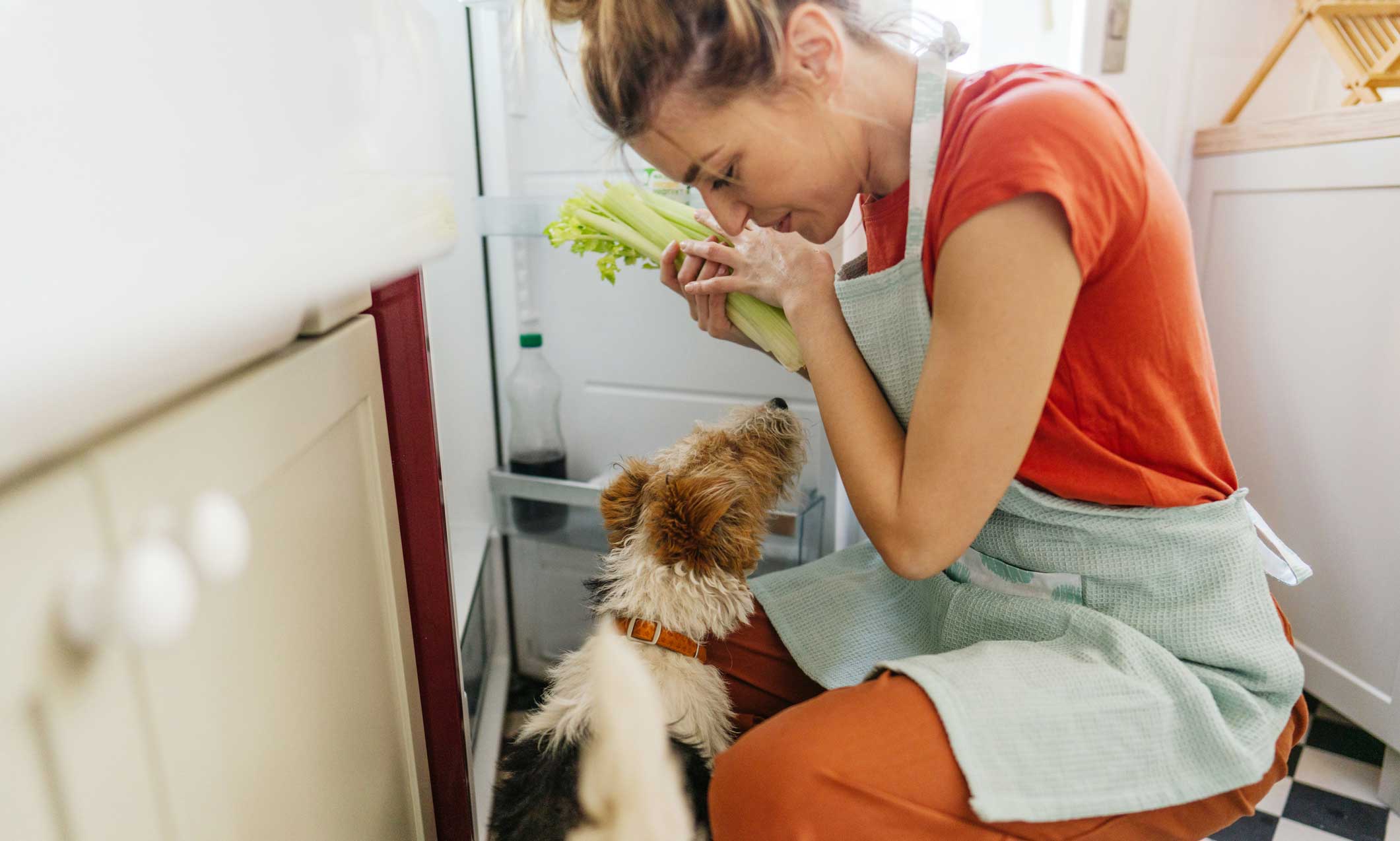 can dogs eat celery: woman holding celery as dog watches on