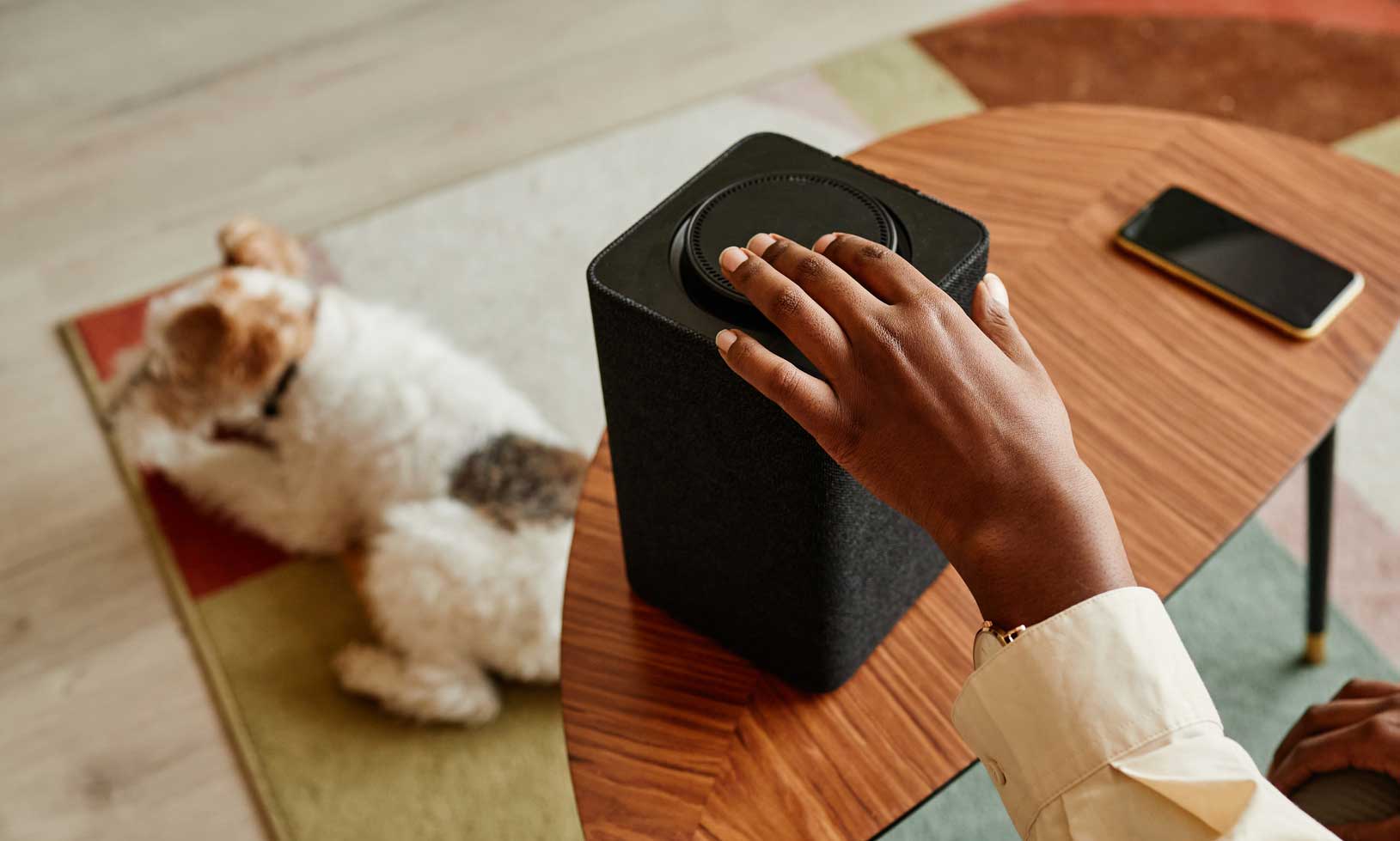 calming music for dogs: playing music on speaker dog in background