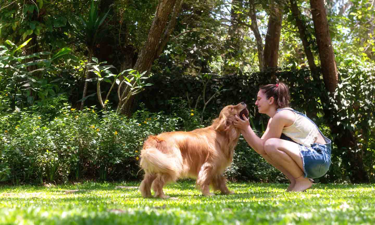 Photo of a woman playing with a dog outside