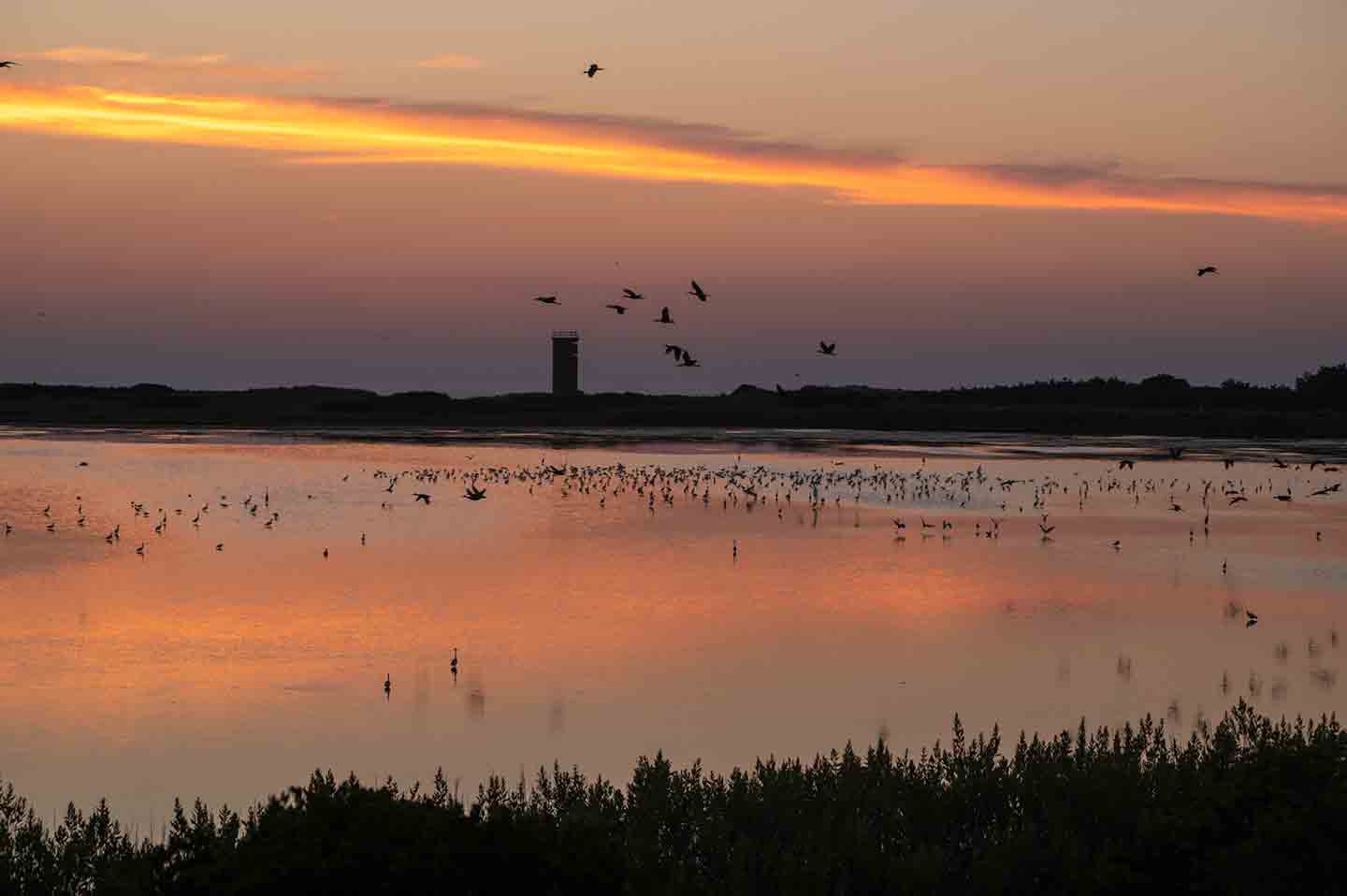 Photo of a sunrise over Gordons Pond in Delaware