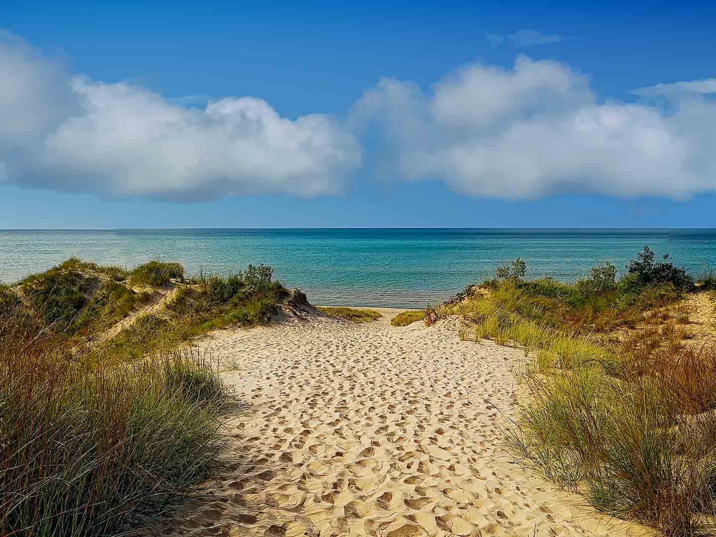 Photo of a trail at Indiana Dunes State Park