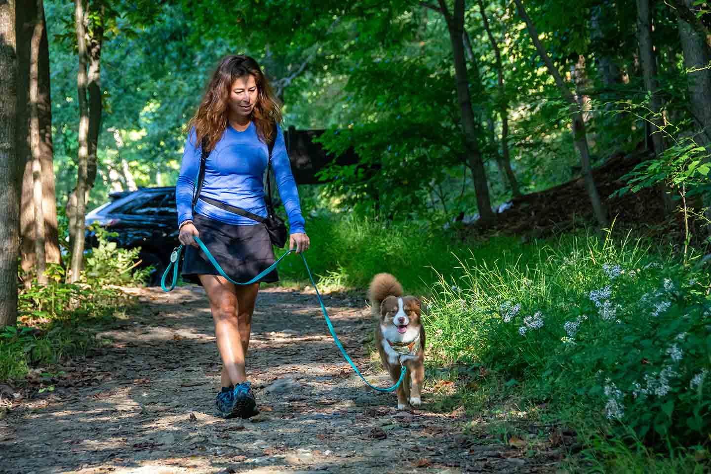 Photo of a woman walking her dog at Catoctin Mountain Park