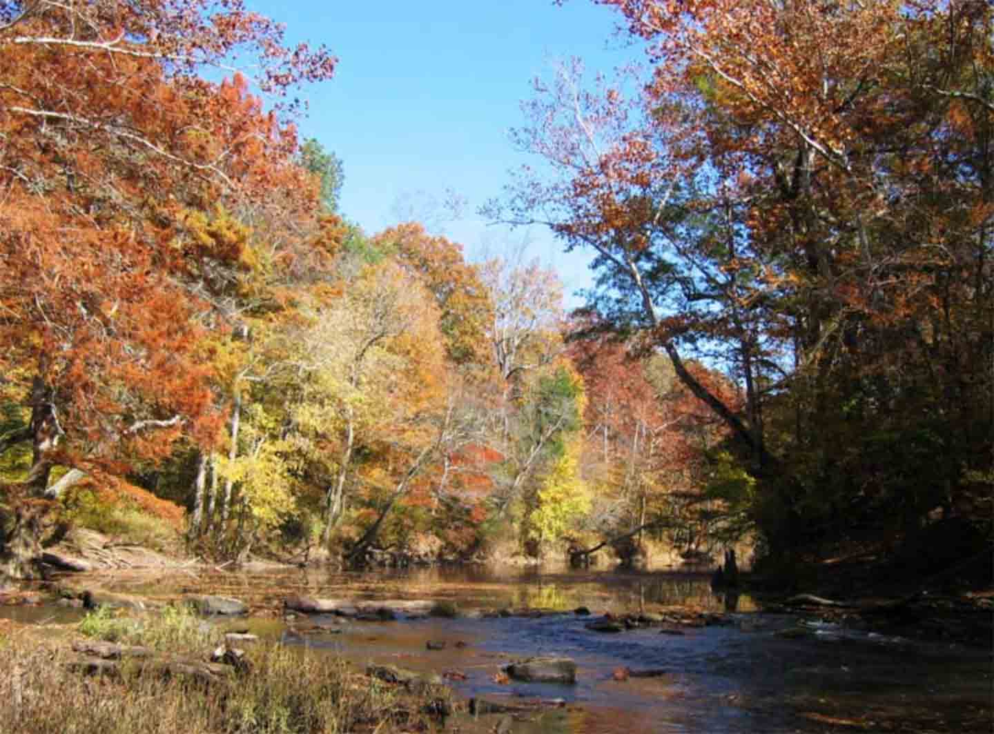 Photo of a river running through Tishomingo State Park
