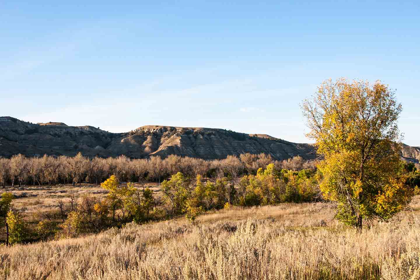 Photo of a North Dakota landscape