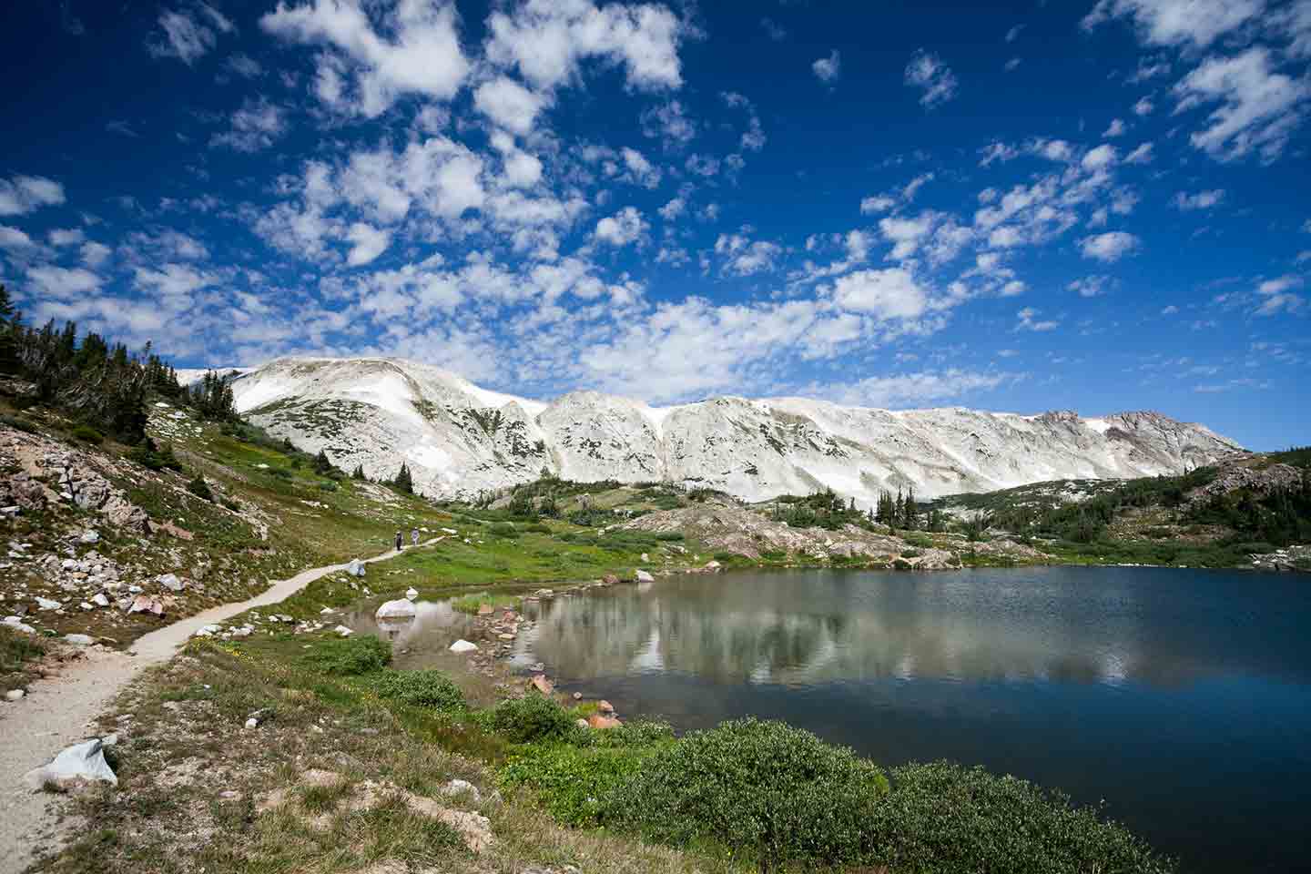 Photo of a hiking trail in Medicine Bow National Forest