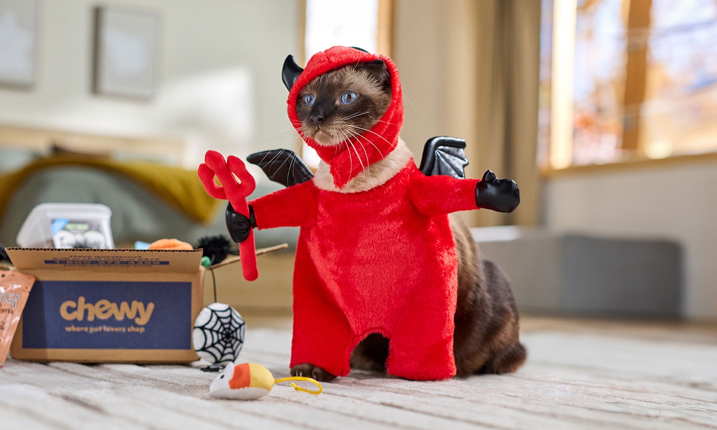 Funny costumes for cats hotsell