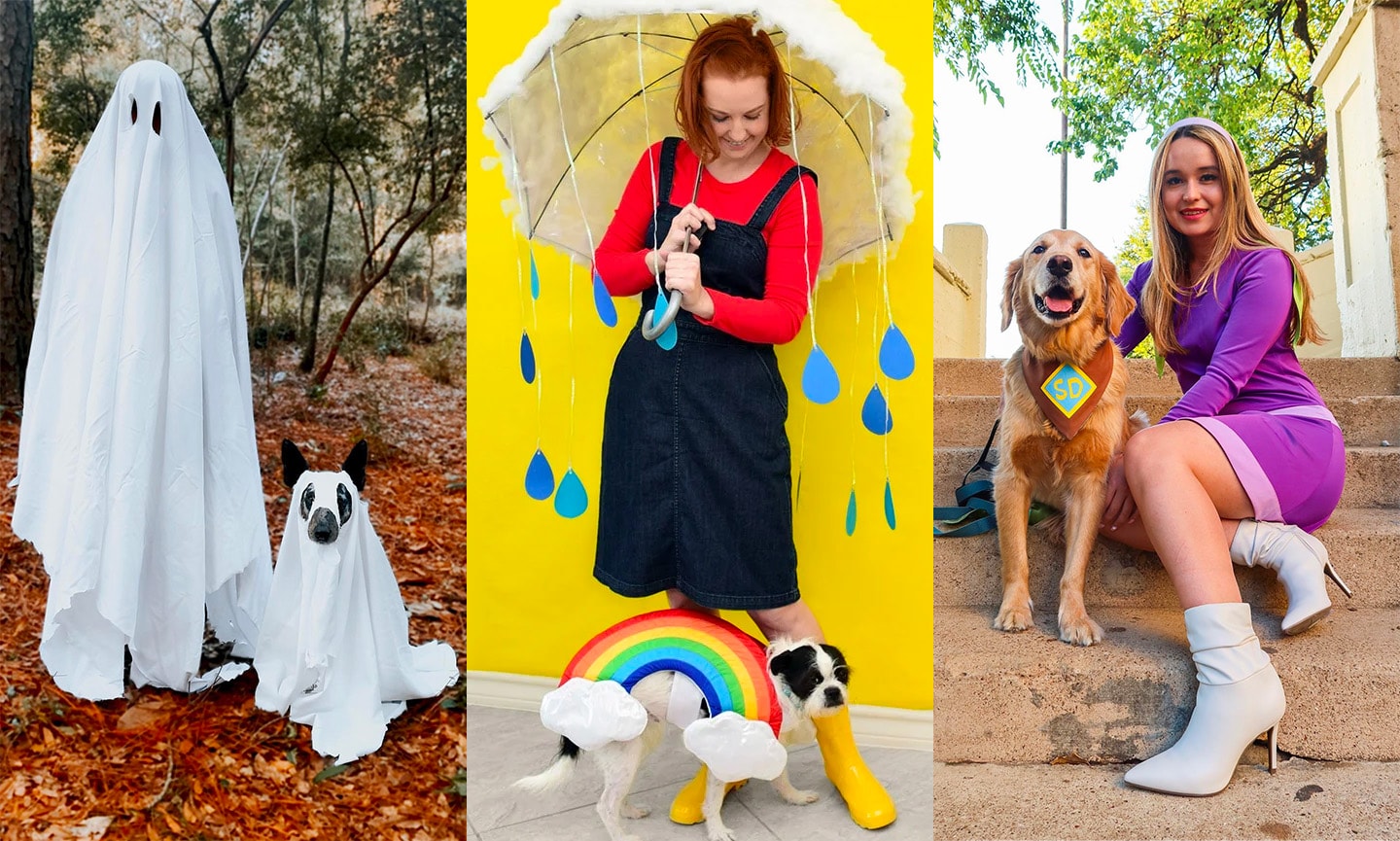Three Last-Minute DIY Halloween Costumes for Your Furry Friends