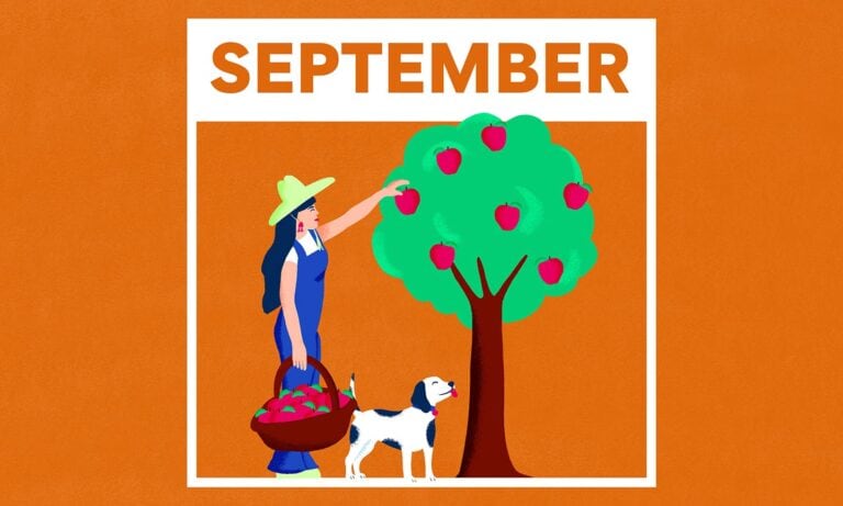 september-calendar-30-autumn-adventures-and-activities-for-you-and-your-pet-bechewy