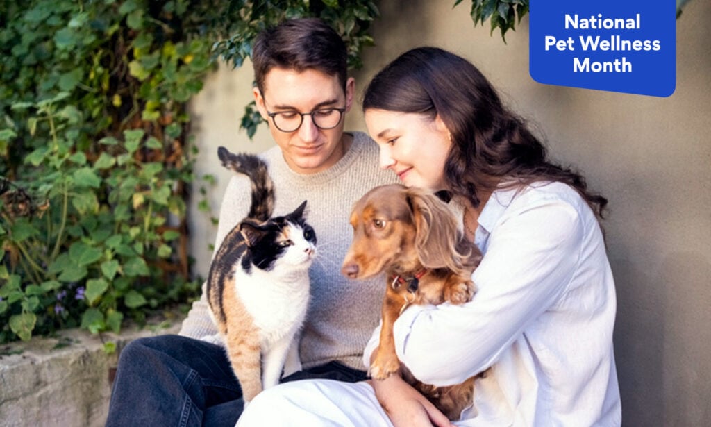 Pet Wellness How to Help Your Pet Live a Long Happy Life BeChewy