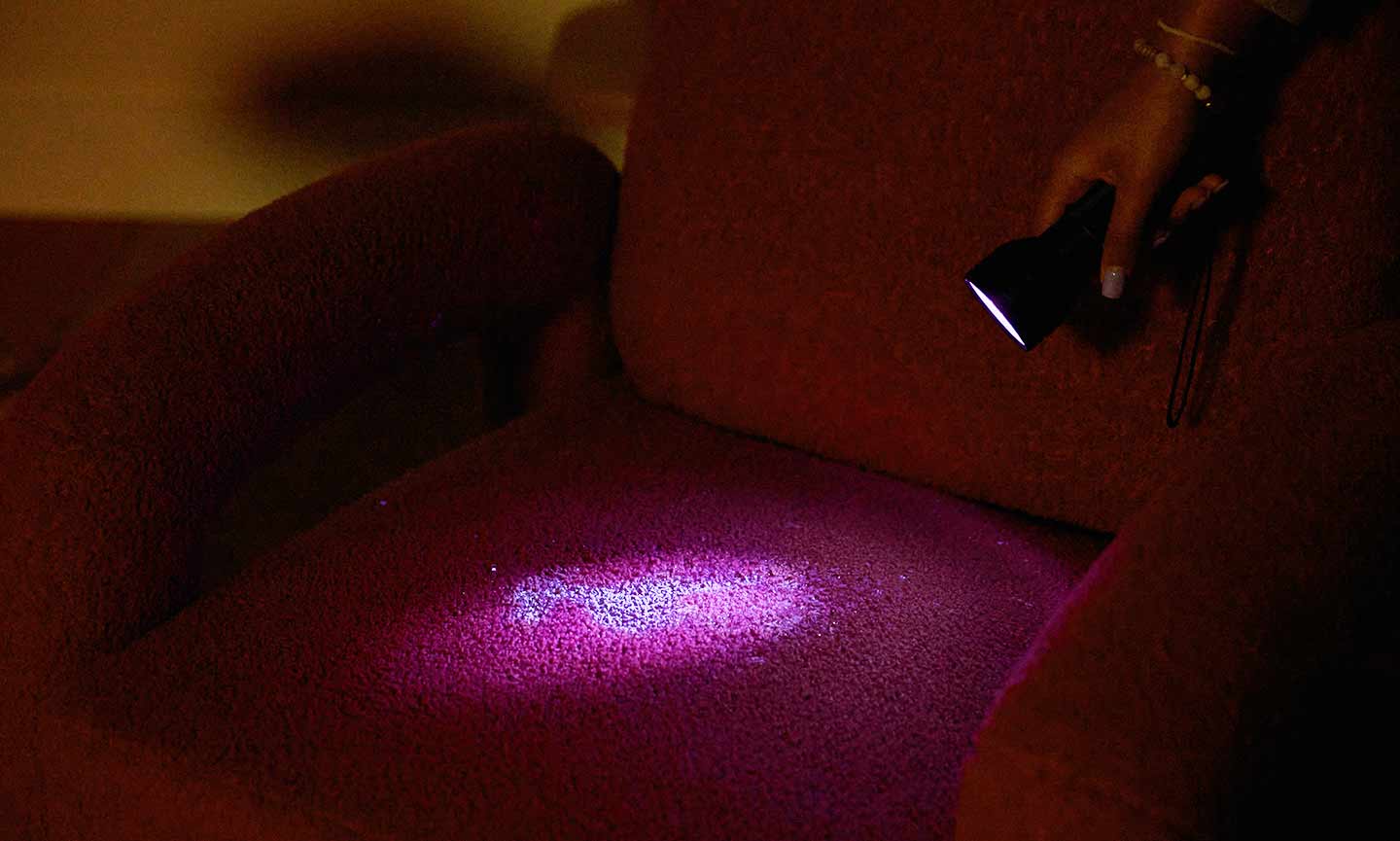 Photo of a blacklight flashlight illuminating a cat pee stain