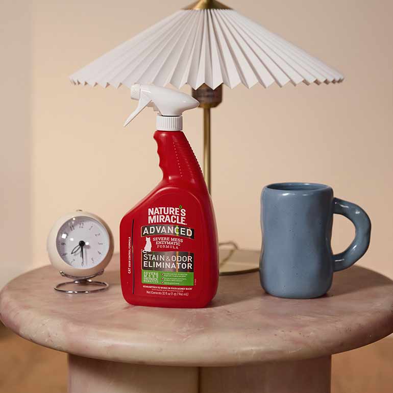 Photo of cat odor cleaning products beside a clock