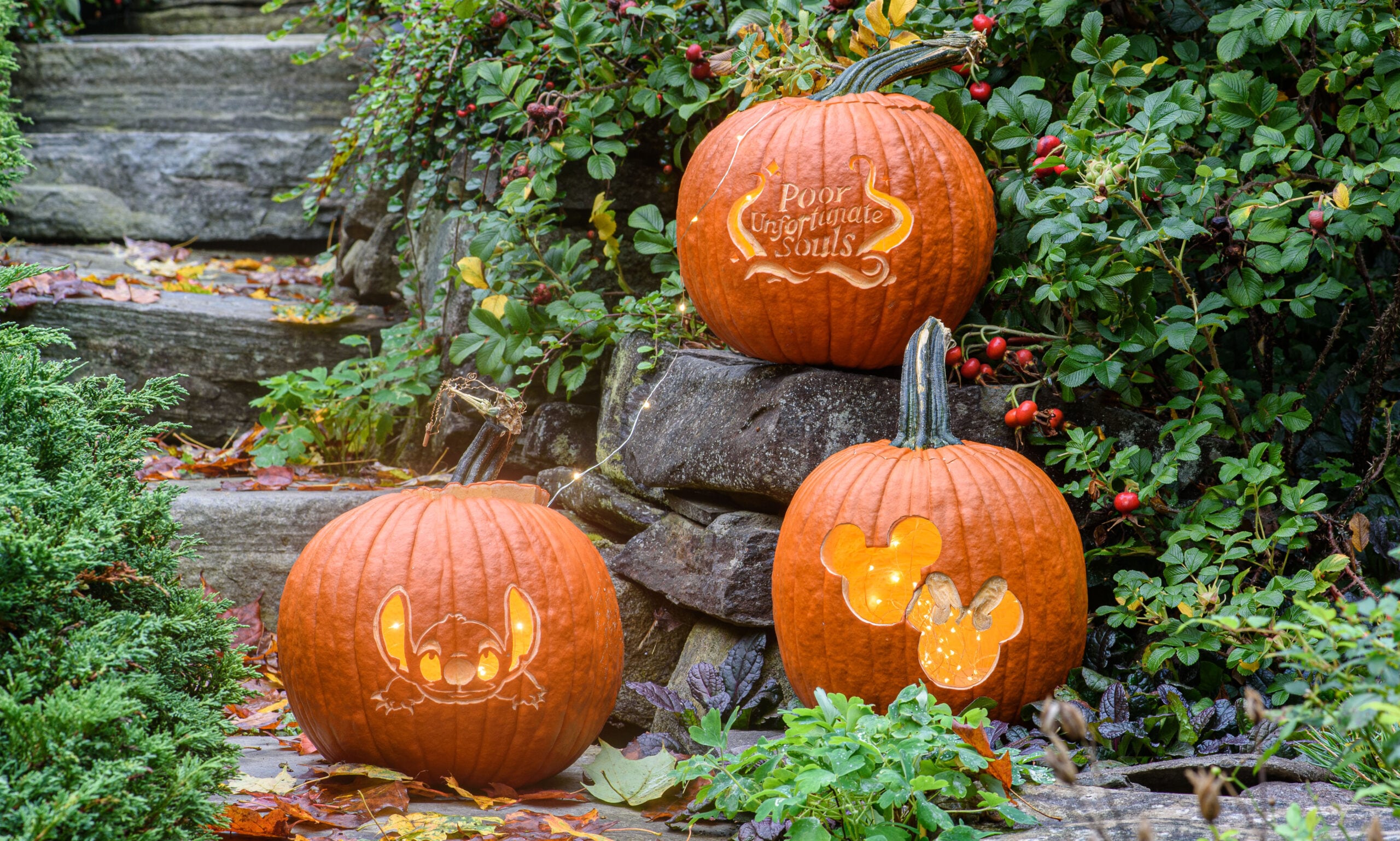 disney pumpkin designs