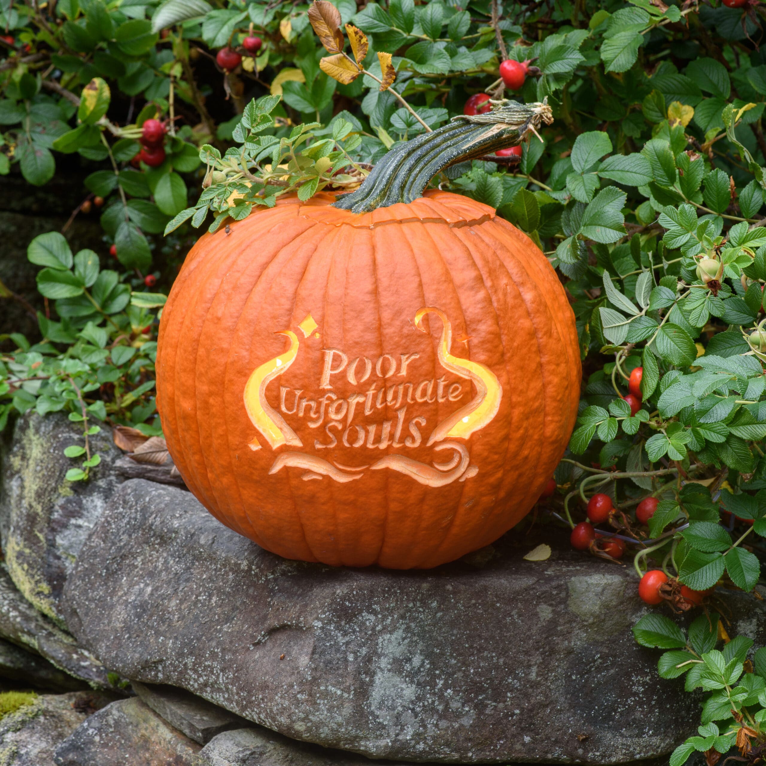 winnie the pooh pumpkin stencil