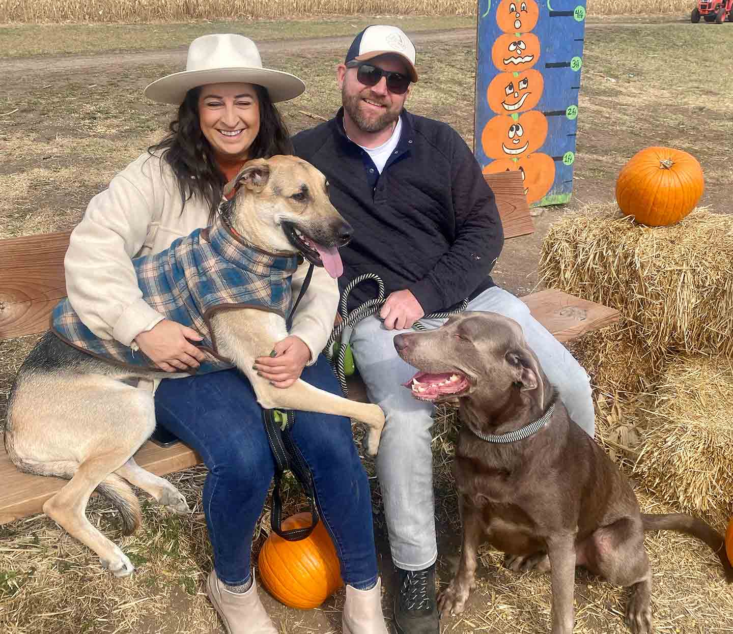 Photo of a man, woman and two dogs sitting on hay bales with pumpkins