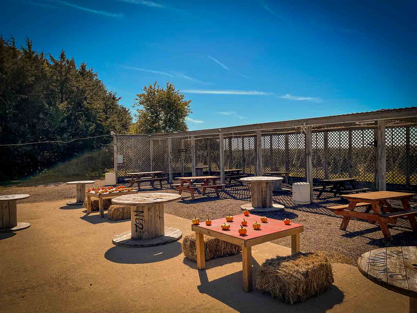 Photo of outdoor tables decorated with small pumpkins at Riverview Christmas Tree Farm