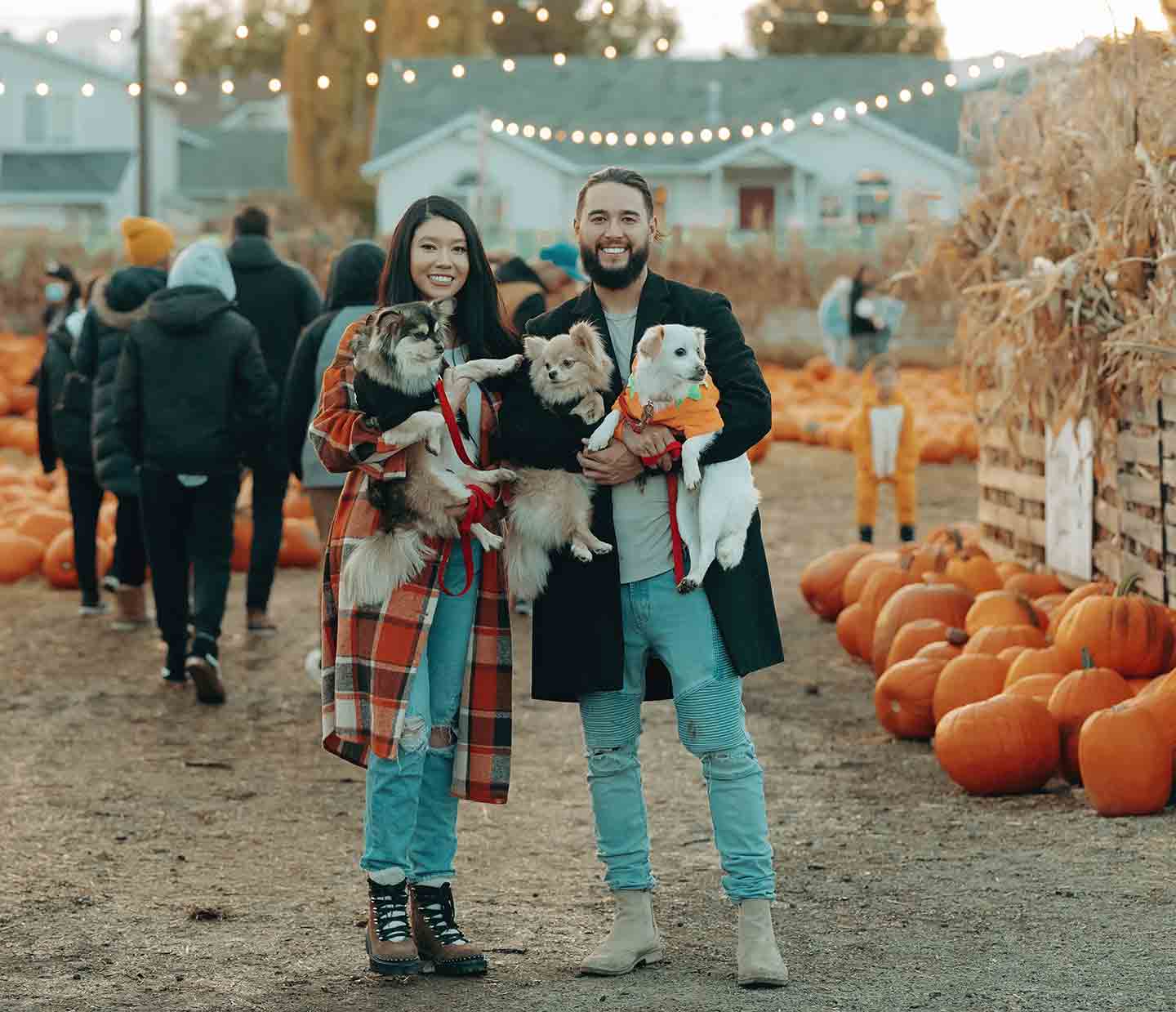 Photo of a couple and their three dogs at Kuwahara's Pumpkin Patch
