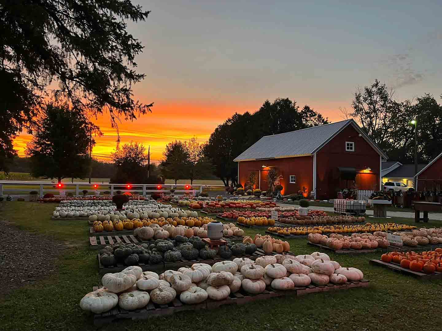 Photo of pumpkin patch and barn at Creekside Valley Farm