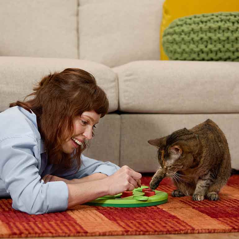 Photo of a woman and her cat playing with a puzzle feeder
