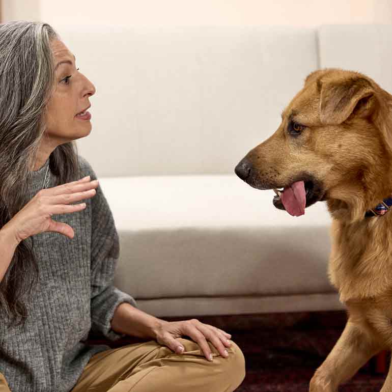 Photo of a woman giving a hand signal to a dog