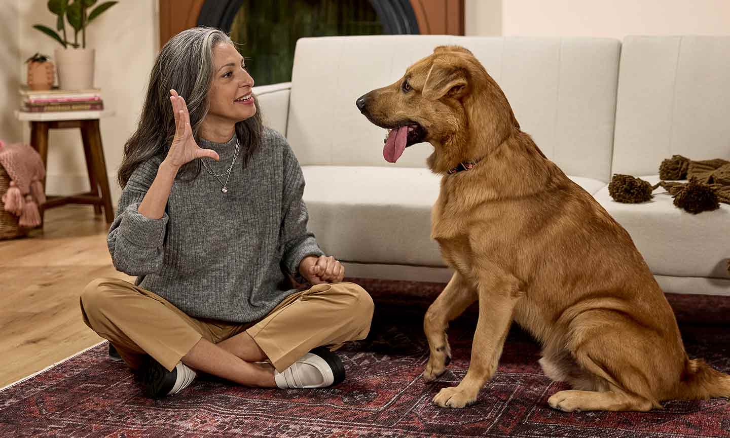Photo of a woman training a dog to "speak," aka bark on command
