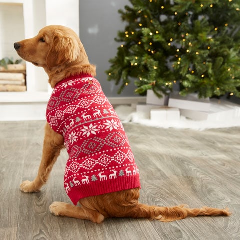 holidays with pets survey - christmas sweater