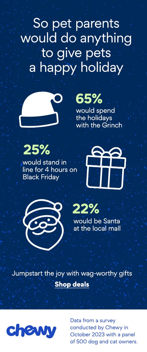 holidays with pets survey infographic