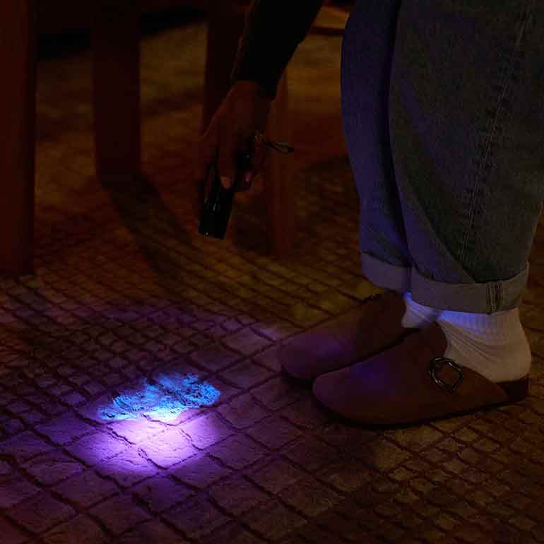 Photo of a woman shining a blacklight on a urine stain