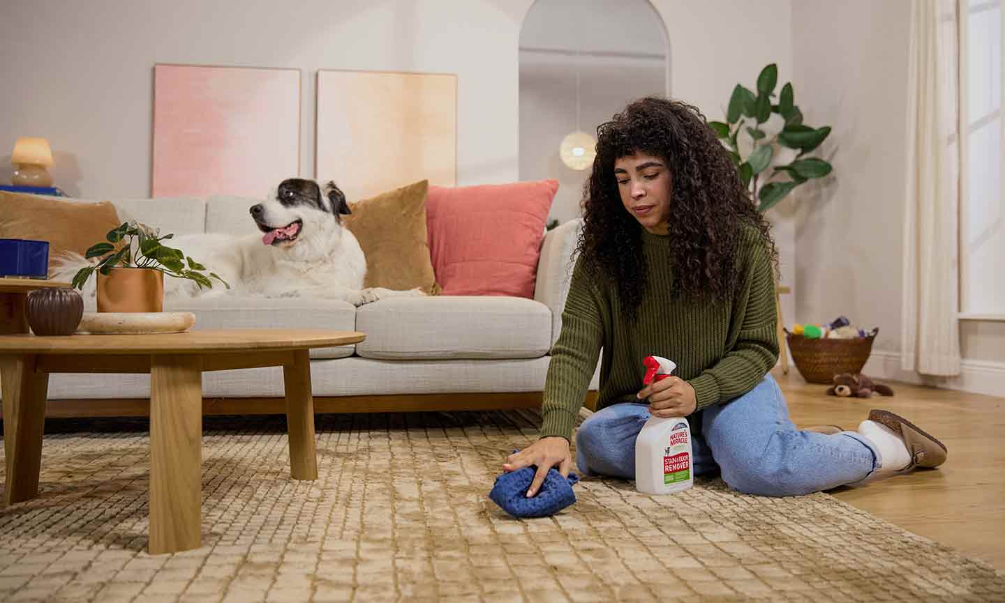 How To Get Rid Of Dog Pee Smell On Area Rug