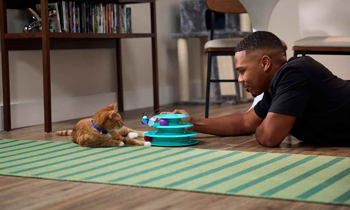 Photo of a man watching a cat play with a toy