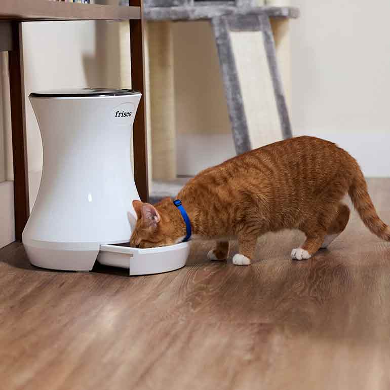 Photo of a cat eating from an automatic feeder