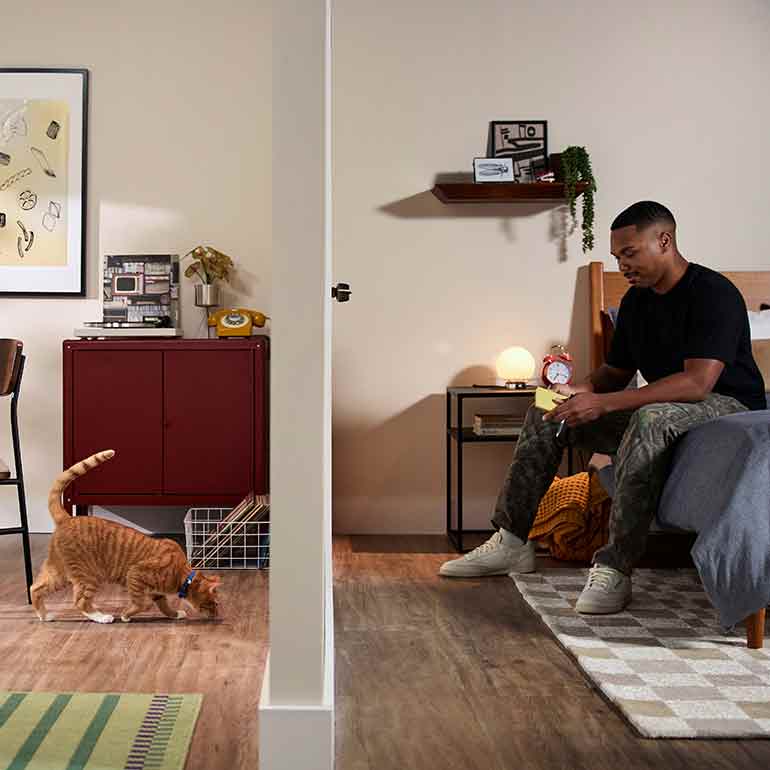 Split-screen photo of a cat in one room and a man in another