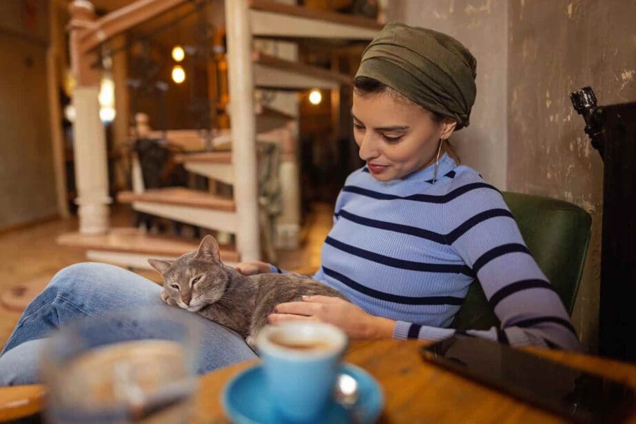 12 Best Cat Cafes in the US for Kitty Cuddles and Coffee