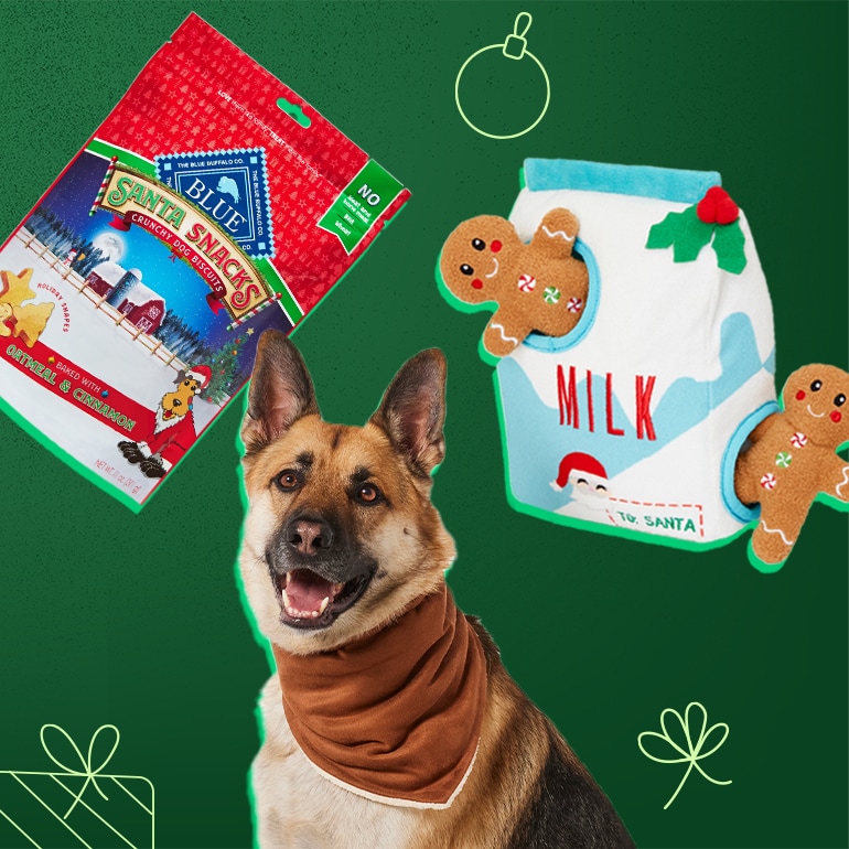 https://media-be.chewy.com/wp-content/uploads/2023/11/22160139/holiday-pet-gifts-kristine-picks.jpg