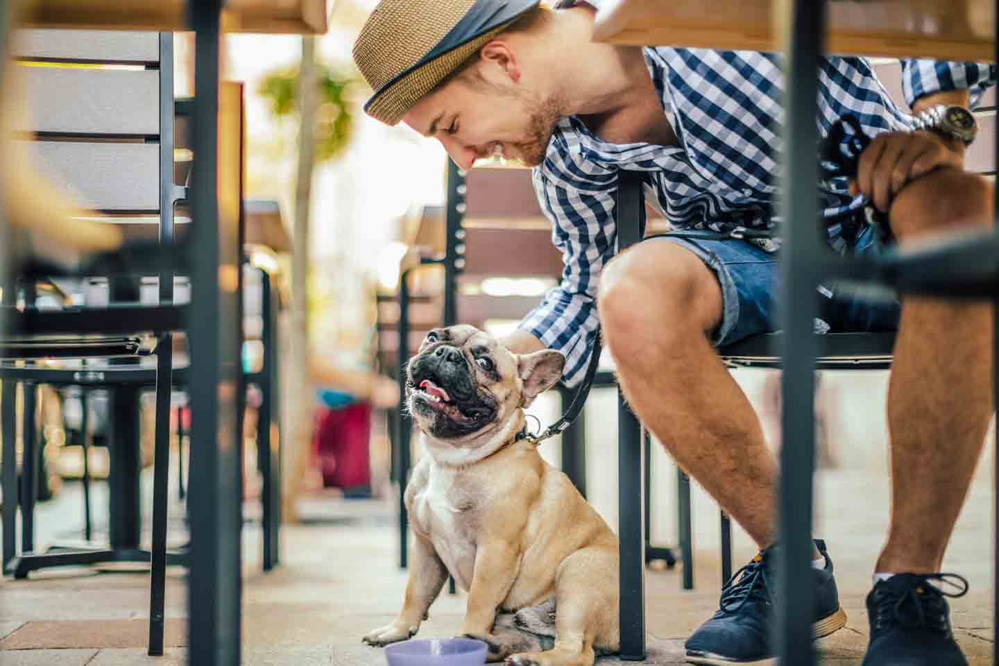 The Best Dog Friendly Coffee S In