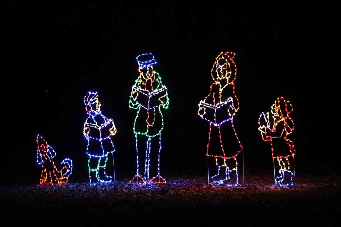 The Best Dog-Friendly Holiday Light Shows Across the U.S. | BeChewy