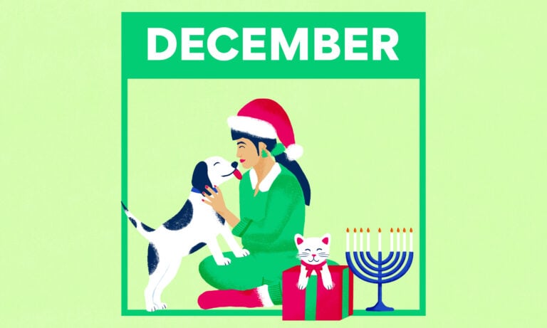 Illustration of a woman and her dog and cat. The woman wears a Santa hat. The cat is sitting beside a gift box. Beside them is a menorah.