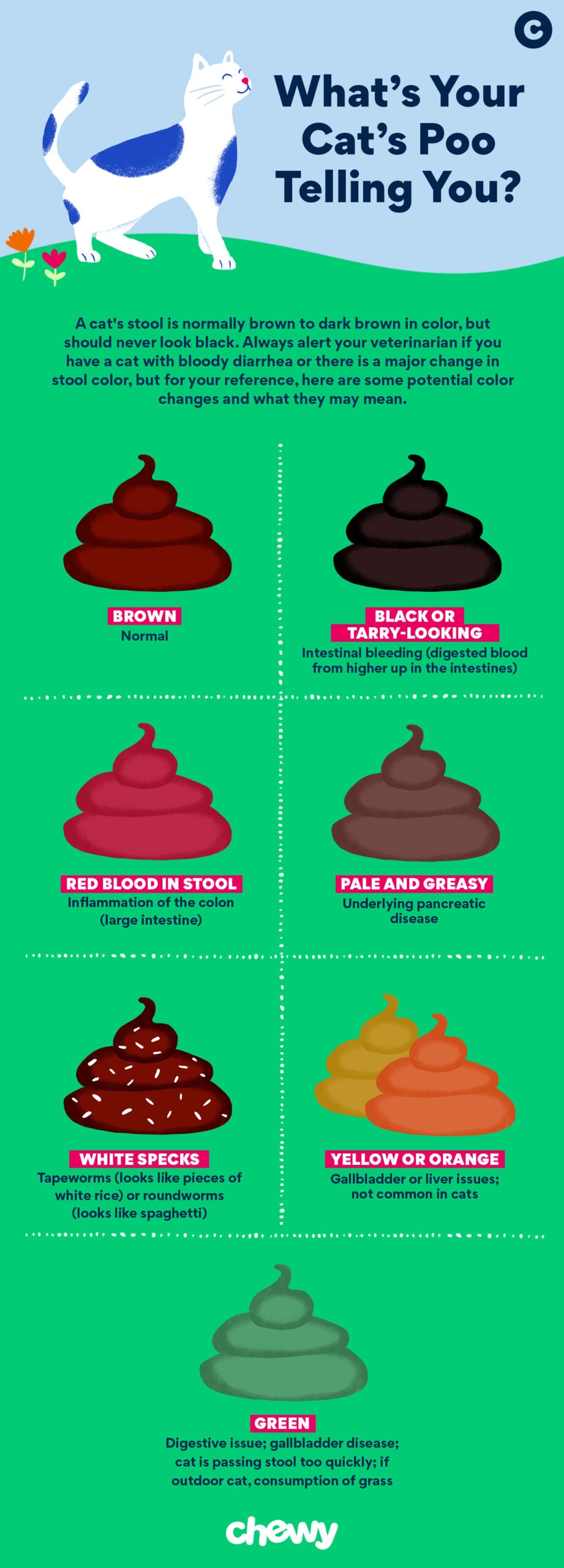 cat poop color chart infographic