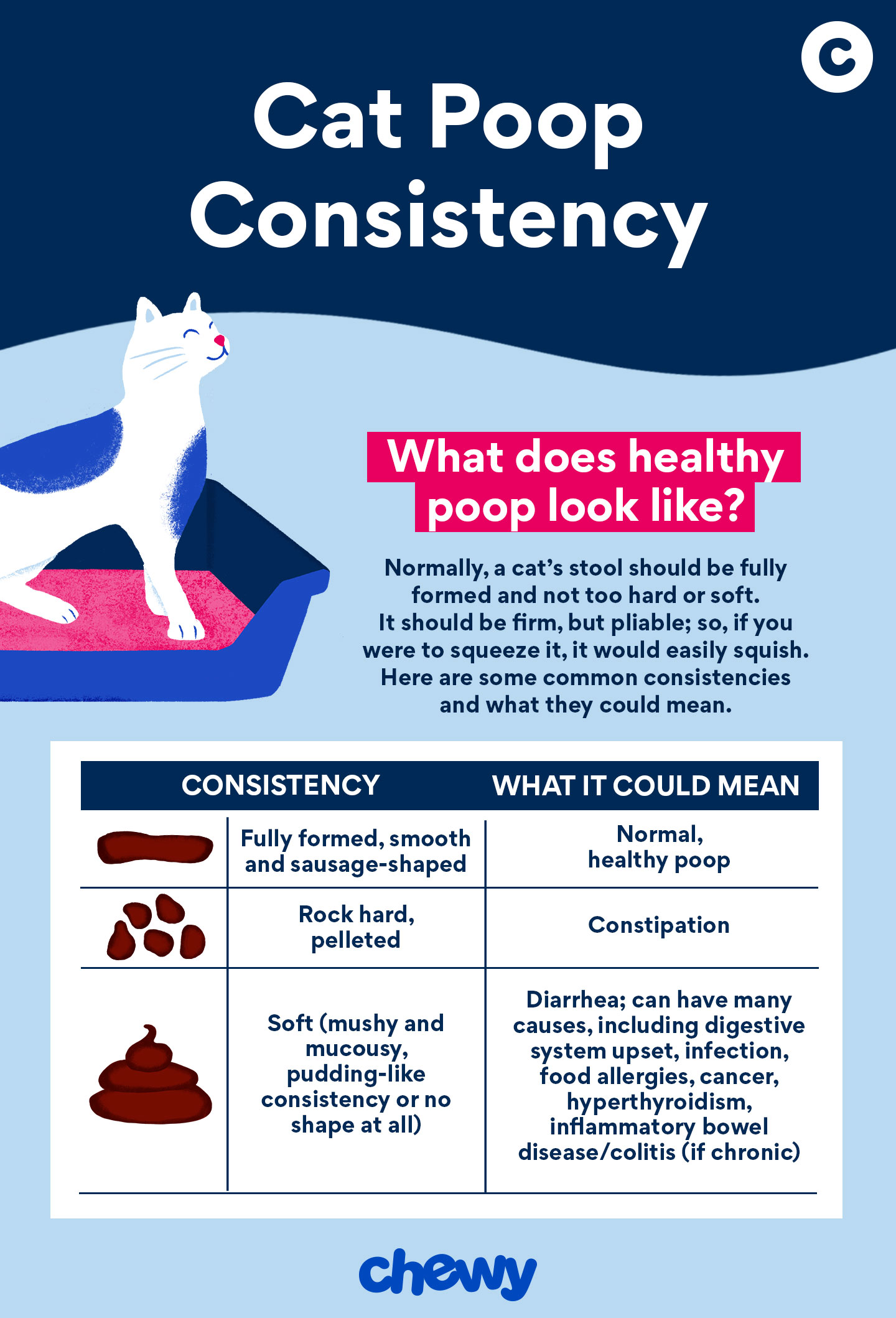 cat poop consistency infographic