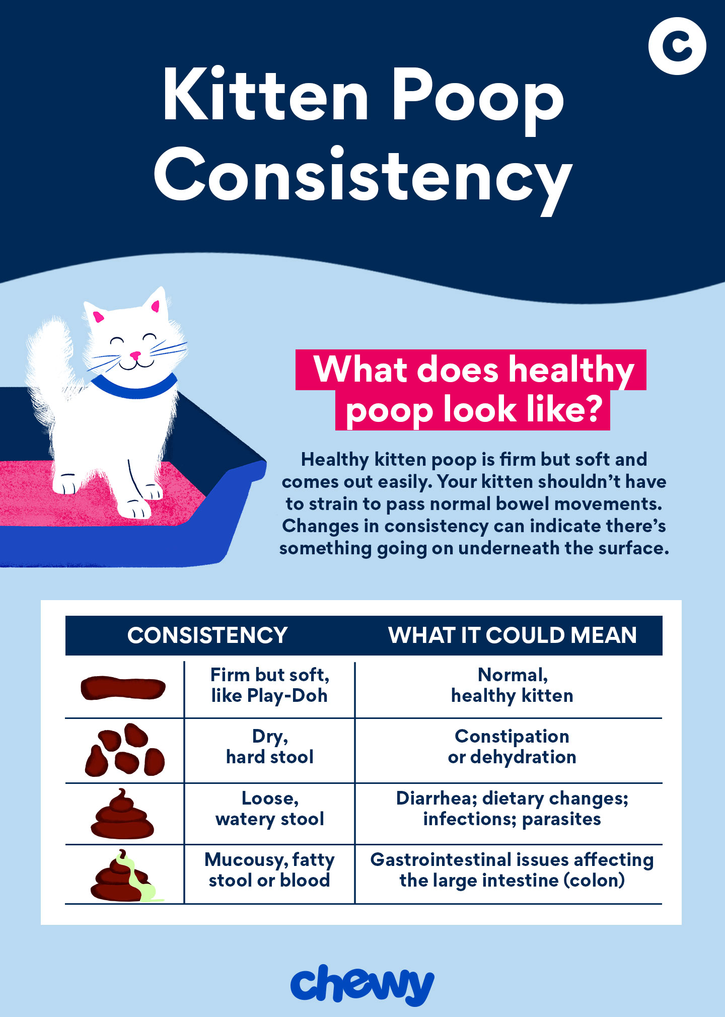 kitten poop consistency infographic