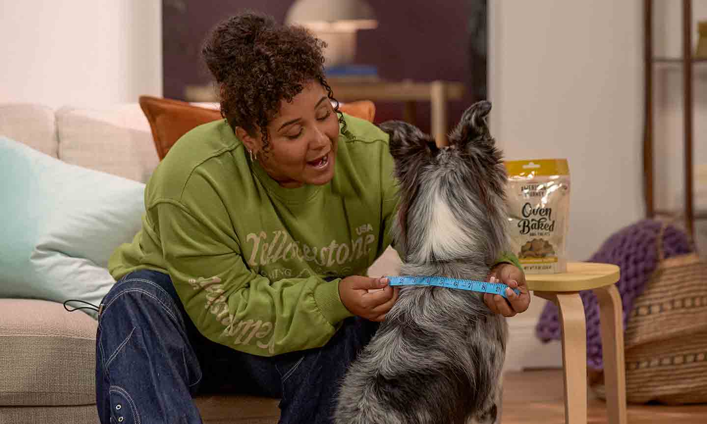 Photo of a woman measuring her dog's width