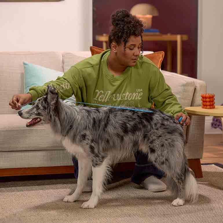 Photo of a woman measuring her dog's length