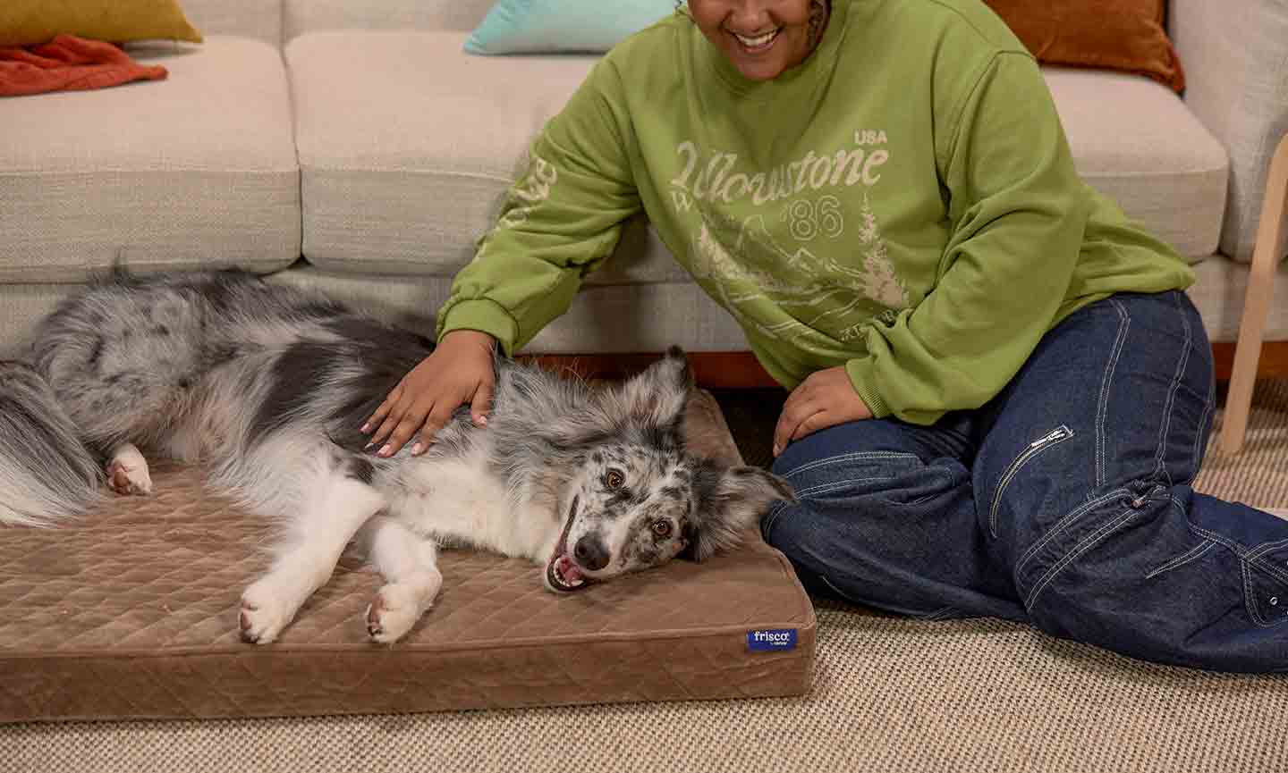 How To Choose the Best Dog Bed Size for Your Pup | BeChewy