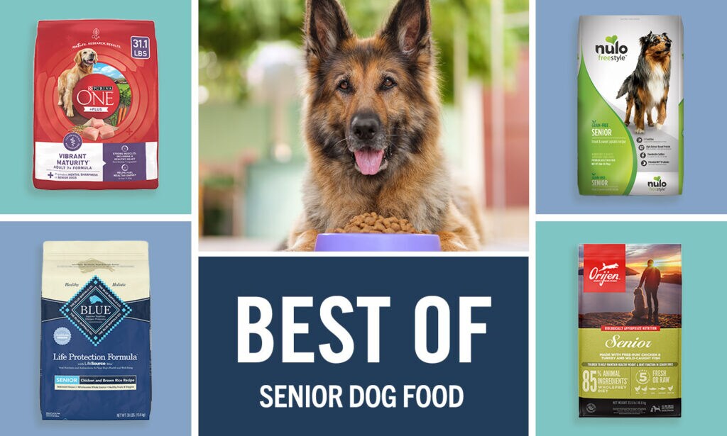 Best Diet Dog Food For Senior Dogs Deals
