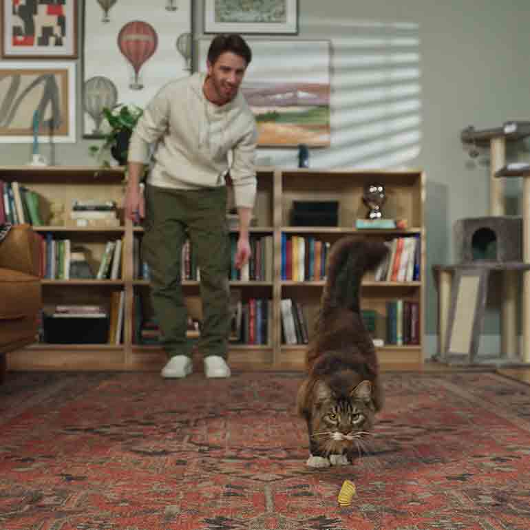 Photo of a man tossing a toy for a cat to chase