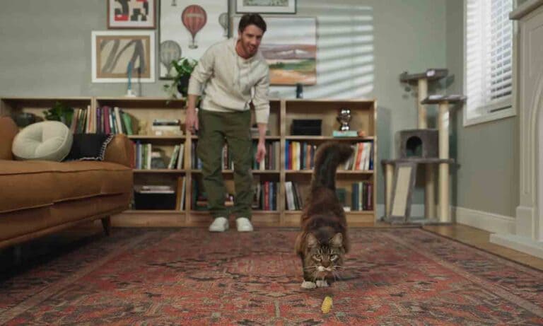Photo of a man tossing a toy for a cat to chase