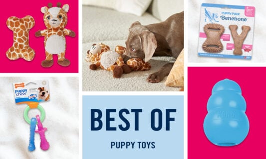 Best puppy stuff hotsell