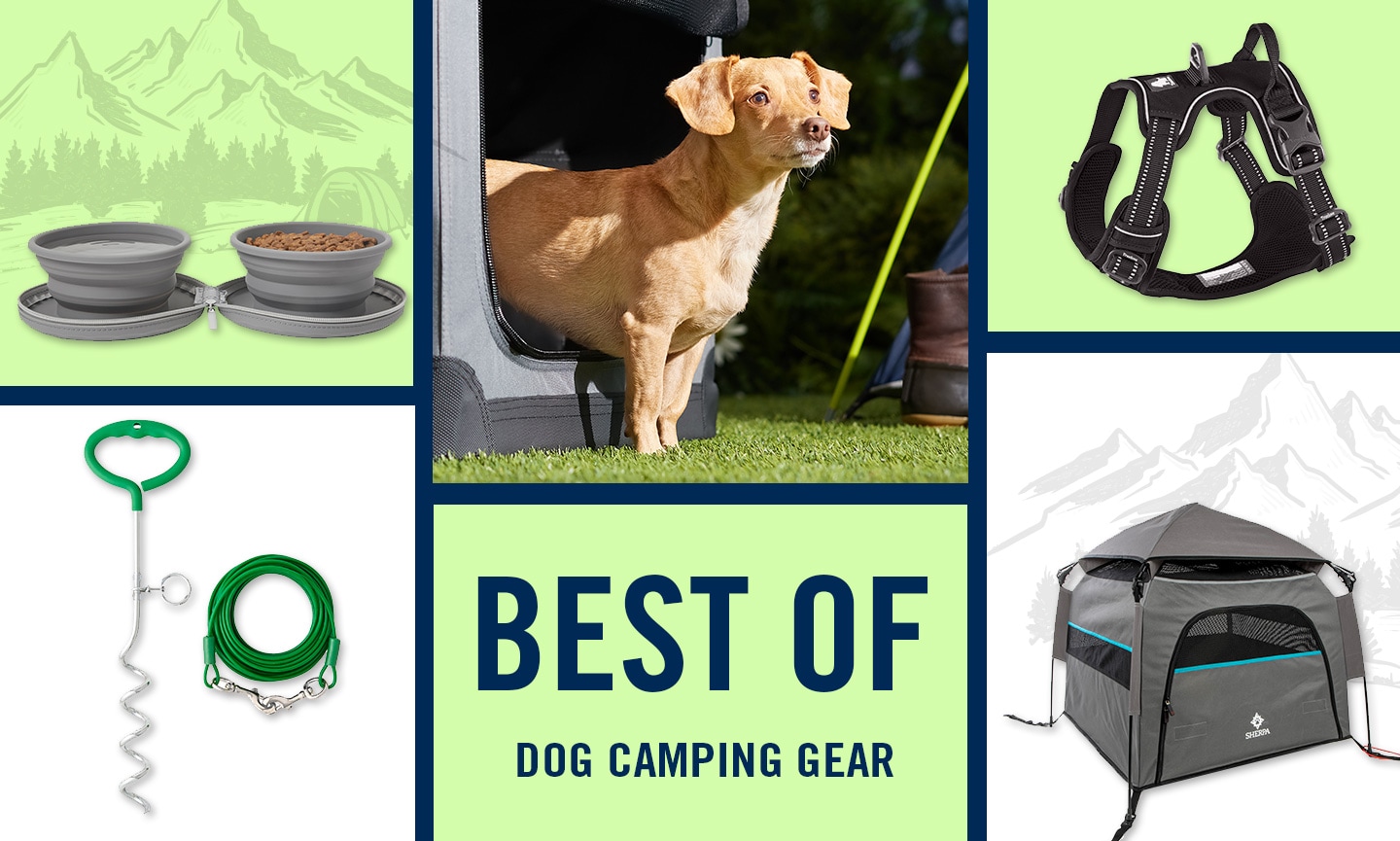 Puppy camping gear best sale