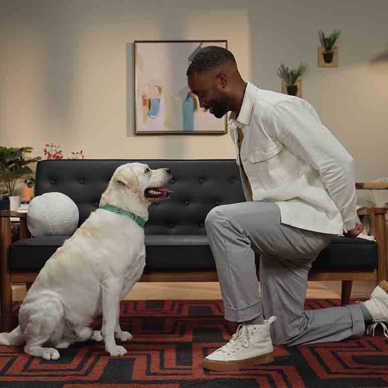 Photo of a man giving a verbal cue to a dog