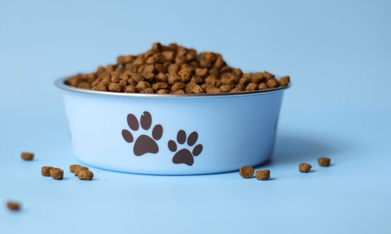 Why You Should Feed Your Dog an Alkaline Diet BeChewy