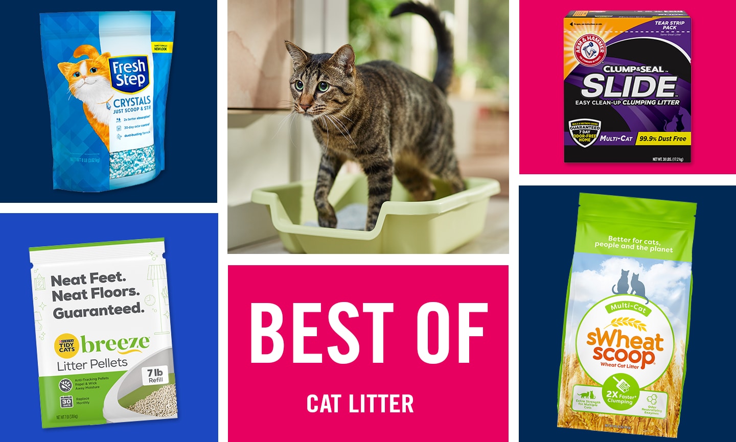 10 Best Cat Litters, According to Cat Parents BeChewy